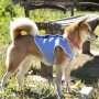 Gilet pour Chien InnovaGoods IG813888 (Reconditionné B)