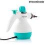 Vaporeta de Mano Multiusos con Accesorios 9 en 1 Steany InnovaGoods 0,35 L 3 Bar 1000W 1000 W (Reacondicionado D)