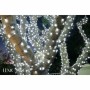 Guirlande lumineuse LED LUMI JARDIN YOGY SOLAR COLD 200 LEDS Blanc Noir