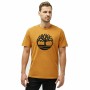 Camiseta Timberland Tree Logo Marrón Hombre