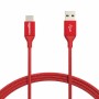 Câble USB-C Amazon Basics (Reconditionné A+)