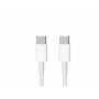 Câble USB-C Startech CDP2VGAMM1MB 2 m (Reconditionné B)