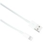 Câble USB vers Lightning Apple (2 m) (Reconditionné B)
