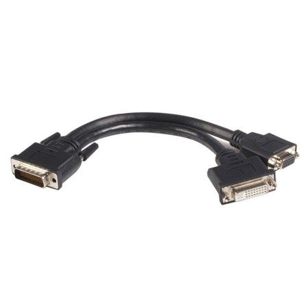 Cable DMS-59 a DVI-D y VGA Startech DMSDVIVGA1      20 cm Negro