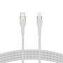 Cable USB-C a Lightning Belkin CAA011BT2MWH 2 m Blanco