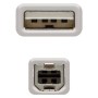 Cable USB 2.0 NANOCABLE Beige