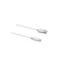 Cable USB A a USB C DCU 30402065 Blanco