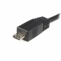 Câble Micro USB Startech UUSBHAUB3M      USB A Micro USB B Noir
