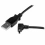 Câble USB vers Micro USB Startech USBAMB1MU      Noir