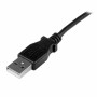 Câble USB vers Micro USB Startech USBAMB1MU      Noir