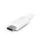 Câble USB C Urban Factory TCE01UF       Blanc