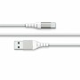 Câble USB A vers USB C Big Ben Interactive FPLIAC2MW Blanc 2 m