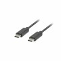 Câble USB C Lanberg CA-CMCM-31CU-0010-BK 1 m