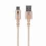 Cable USB A a USB C CX2053 Oro