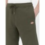 Pantalón Corto Deportivo Dickies Mapleton Verde militar Oliva Hombre