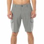 Pantalón Corto Deportivo Rip Curl Boardwalk Trail Gris Hombre