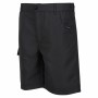 Short de Sport Regatta Sorcers II Seal Montagne