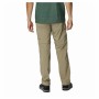 Pantalon de sport long Columbia Silver Ridge Montagne Marron