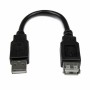 Cable USB Startech USBEXTAA6IN     USB A Negro