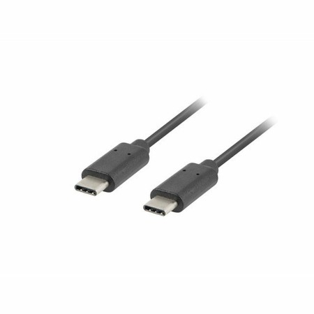 Câble USB C Lanberg CA-CMCM-31CU-0030-BK 3 m