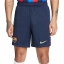 Pantalón Corto Deportivo Nike FC Barcelona 22/23 Fútbol