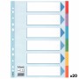 Separadores Esselte Multicolor A4 6 Hojas (20 Unidades)