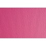 Cartulina Sadipal LR 220 Texturizada Fucsia 50 x 70 cm (20 Unidades)