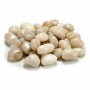 Piedras Decorativas Mediano Blanco 3 Kg (4 Unidades)