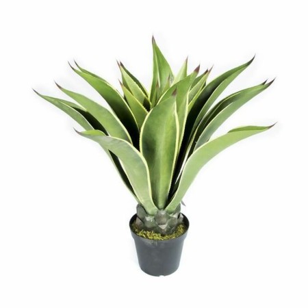 Planta Decorativa Catral Mini Agave