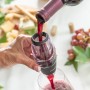 Aérateur de Vin avec Filtre, Support et Pochette de Transport Wineir InnovaGoods