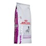 Nourriture Royal Canin 14 Kg