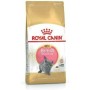 Comida para gato Royal Canin