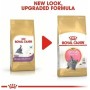 Comida para gato Royal Canin