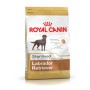 Pienso Royal Canin Labrador Retriever Sterilised 12 kg