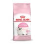 Comida para gato Royal Canin Kitten