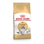 Comida para gato Royal Canin Norwegian Forest Cat Adult