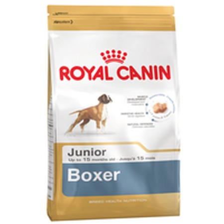 Pienso Royal Canin Boxer Junior 12 kg