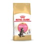 Comida para gato Royal Canin Maine Coon Kitten