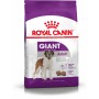 Pienso Royal Canin Giant Adult 15 kg