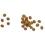 Pienso Purina Pro Plan Veterinary Diets JM 12 kg