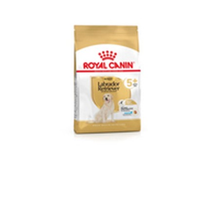 Nourriture Royal Canin 3182550908412 12 kg