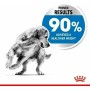 Nourriture Royal Canin 12 kg