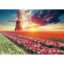 Puzzle Educa Fields of Tulips 18465 1500 Pièces
