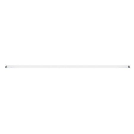 Tube LED Philips F 8 W 800 lm (6500 K)