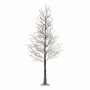 Sapin de Noël Lumineo 492617 Lumière LED Extérieur Enneigé 80 x 80 x 125 cm