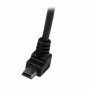 Câble USB vers Micro USB Startech USBAMB2MD      Noir