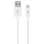 Câble USB GEMBIRD CC-USB2P-AMLM-1M-W Blanc 1 m