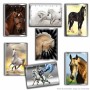 Álbum de cromos Panini Le plus beaux Chevaux du monde