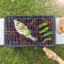 Grille de Barbecue pour Poissons Fisket InnovaGoods V0103472 Fer (Reconditionné A)