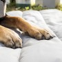 Cama Portátil Impermeable para Mascotas Huismat InnovaGoods Blanco Gris (Reacondicionado A+)